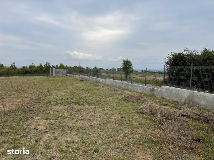 Teren de 11600 mp, în Viile Satu Mare