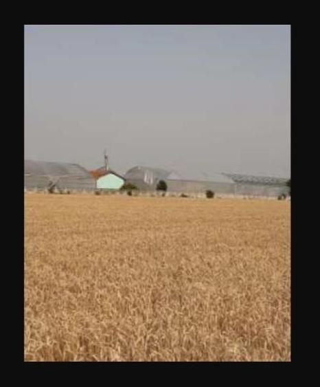 Spațiu industrial, de 7,300 mp, în Uivar