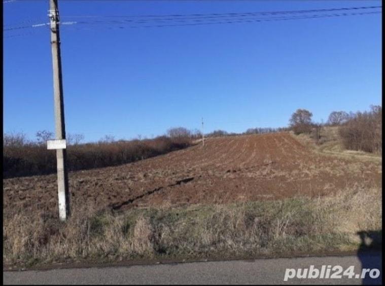 Teren în Albota