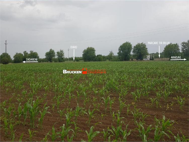 TEREN CU POTENTIAL INDUSTRIAL | 4,35 HA | ARAD, ZADARENI - 8