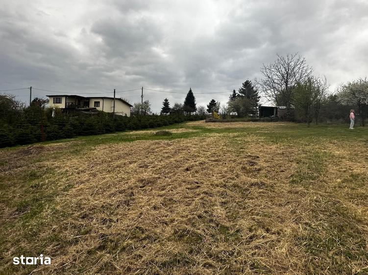Casă cu 2 camere cu Teren 828 Mp în Săldăbagiu de Munte