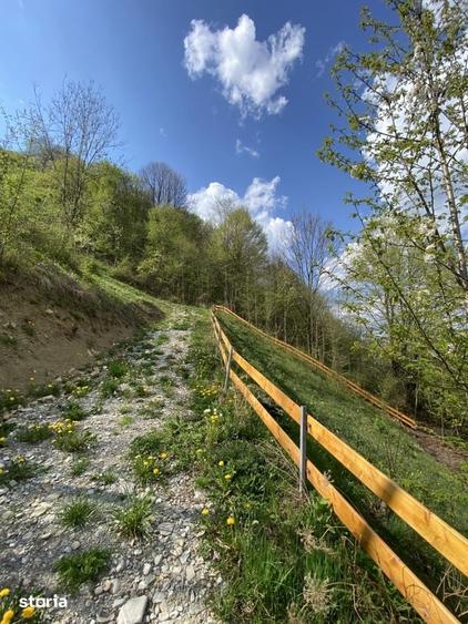 Teren de 4360 mp, în Valea Doftanei