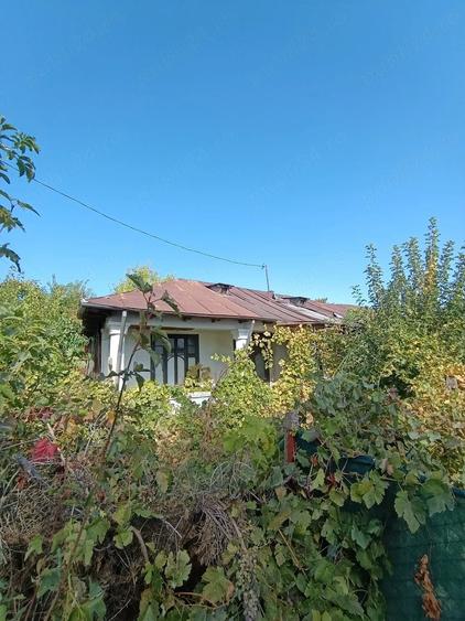 Casă cu Teren 6500 Mp în Bonțești