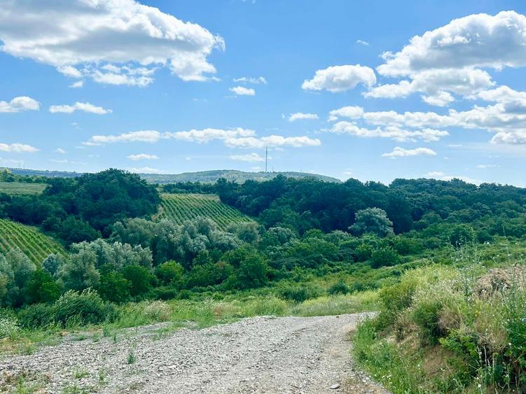 Teren intravilan de 670 mp, în Vișani
