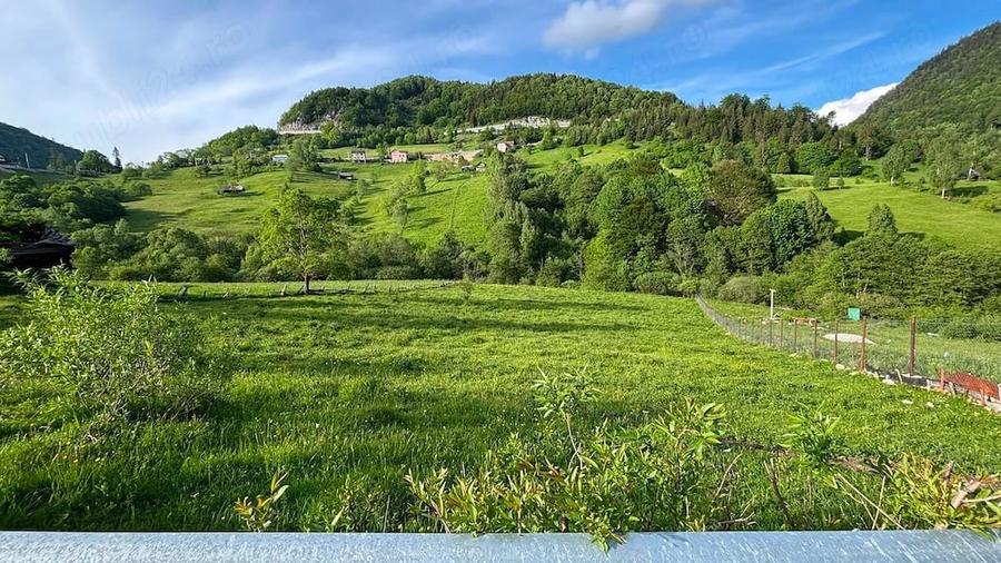Teren de 4000 mp, în Dâmbovicioara