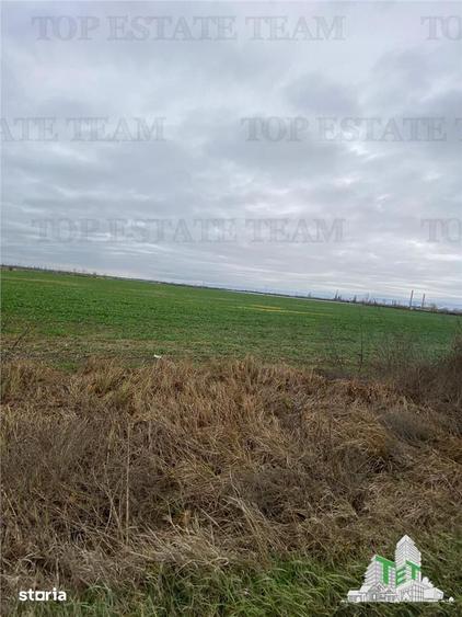 Teren Extravilan 60 HA, in Berceni-Prahova, investitie majora - 5