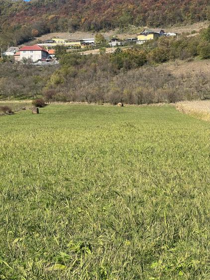 Teren de 7500 mp, în Central