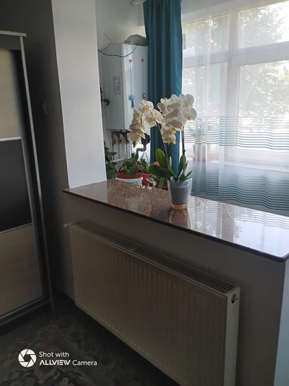 Apartament cu 2 camere semidecomandat în Silișteni