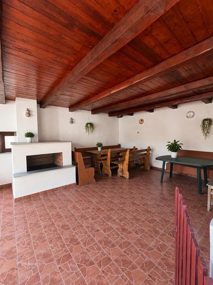Casă individuală cu 4 camere cu Teren 6642 Mp în Pianu de Sus