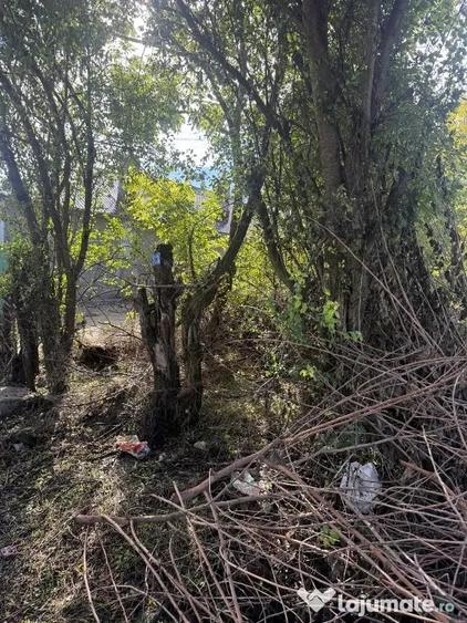 Teren de 300 mp, în Iepurești