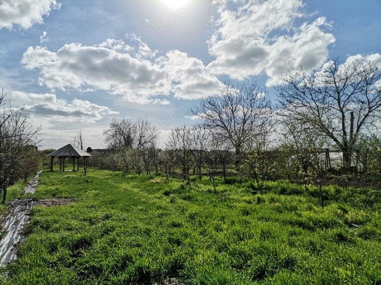Teren de 2310 mp, în Aradul Nou