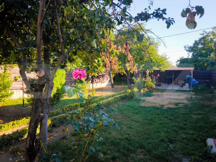 Casă cu 3 camere cu Teren 559 Mp în Central