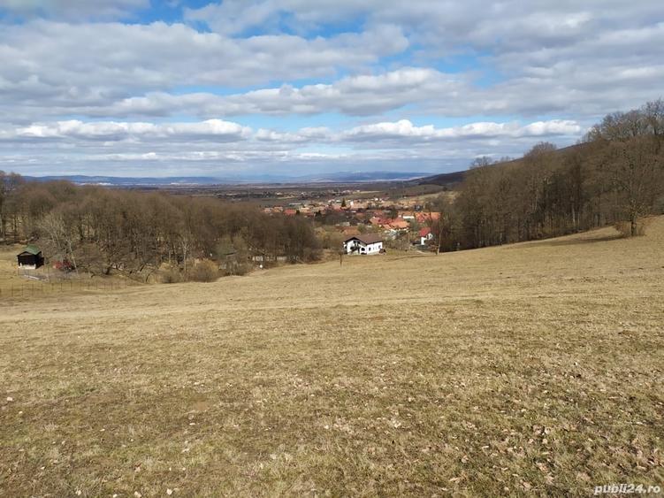Teren de 4041 mp, în Dobârlău