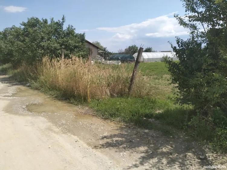 Teren Intravilan In Turda - 7
