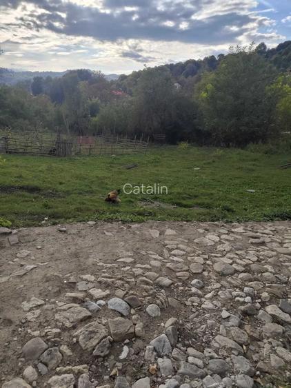 Teren intravilan 1.560 mp + casa 70 mp | Provita de Jos, jud. Prahova | Iesire la strada asfaltata | Priveliste frumoasa