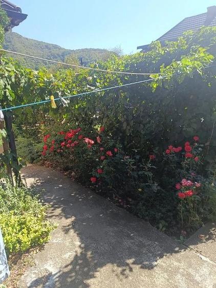 Casă cu 4 camere cu Teren 4925 Mp în Central