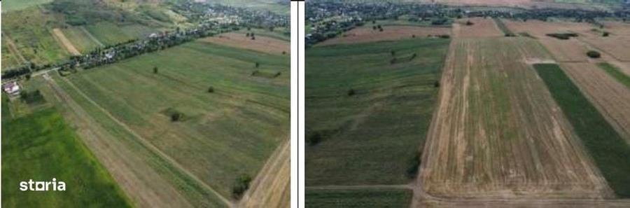 Teren de 1800 mp, în Dumești