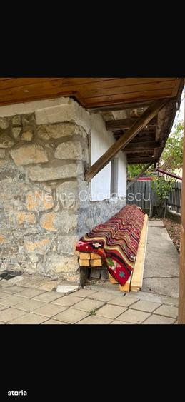Casa traditionala de vanzare