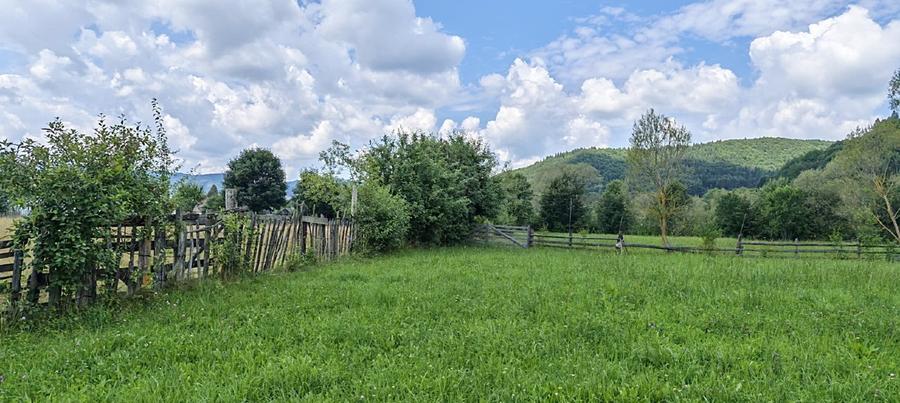 Teren agricol extravilan de 4950 mp, în Vama Buzăului