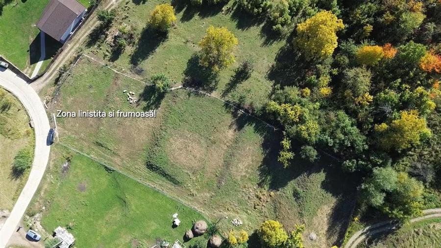 Teren Construcții intravilan de 3500 mp, în Cacica