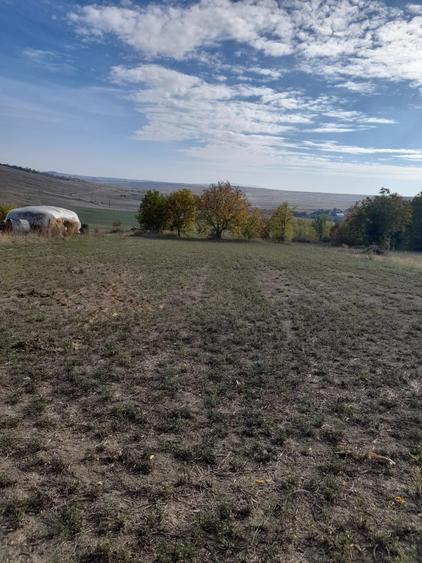 Casă cu 4 camere în Stăuceni