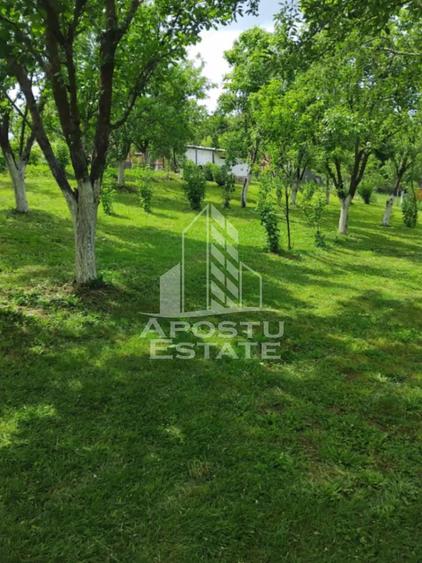 Casă cu 3 camere cu Teren 3515 Mp în Central