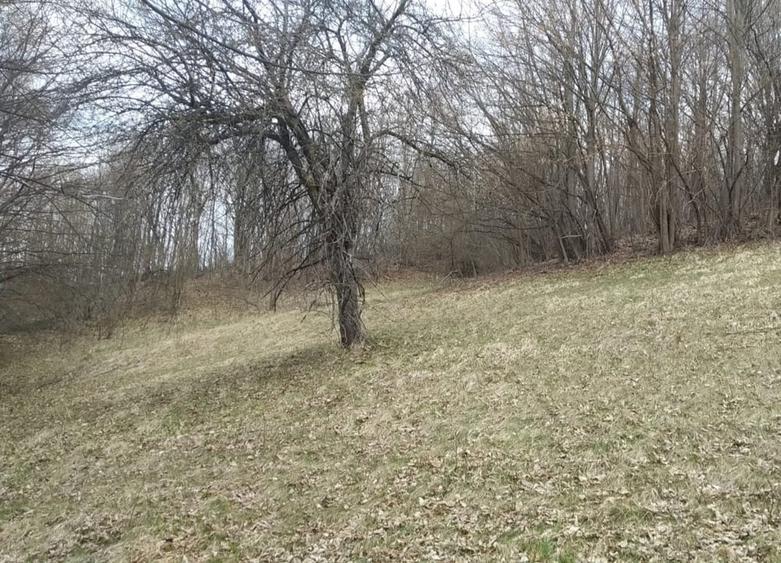 Teren de 6333 mp, în Brebu