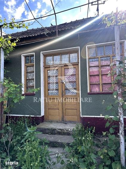 Casa cu anexe si pivni?a | Teren intravilan generos | Sannicolau Roman - 9