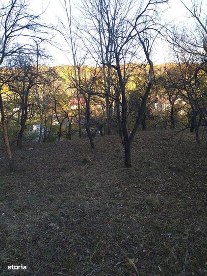 Teren de 3788 mp, în Central