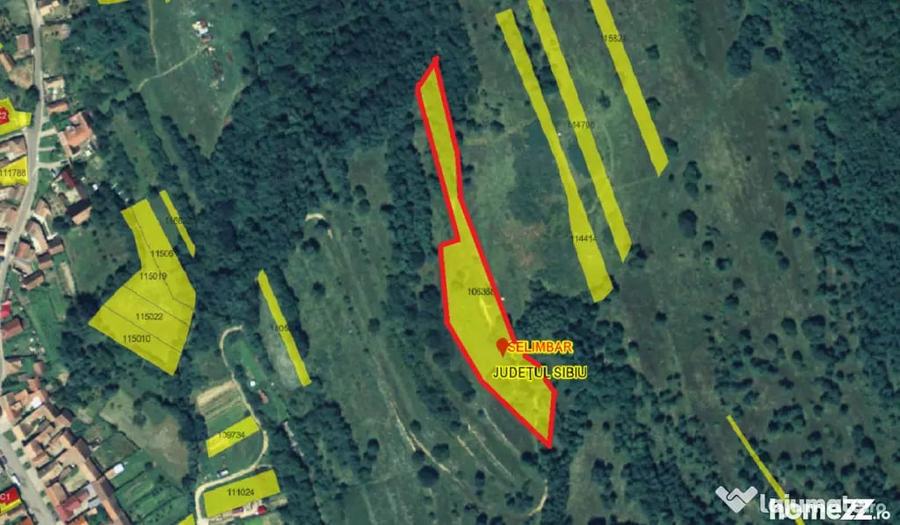 Teren extravilan 5500 mp, la padure zona Selimbar (Mohu) - Selimbar (Sibiu) - 4