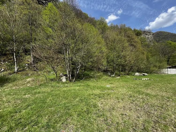 Teren de 919 mp, în Clopotiva