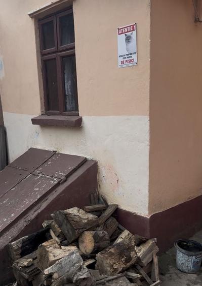 Casă cu 3 camere în Tileagd