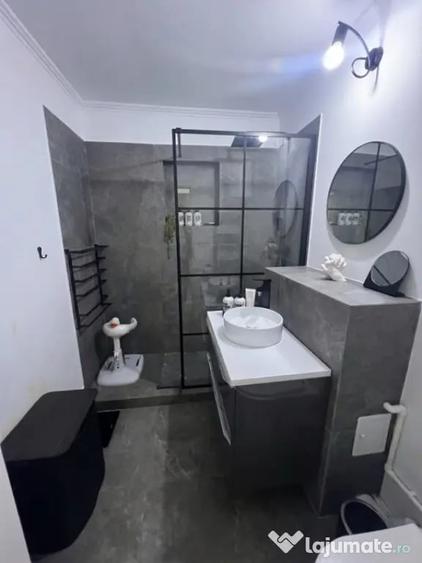 Apartament cu 3 camere decomandat în Rovine