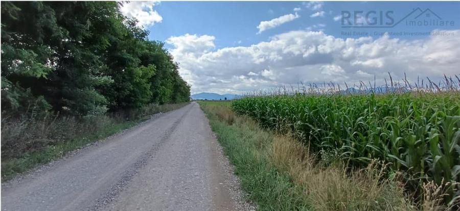 Teren de 39600 mp, în Hărman