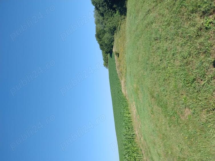 Teren în Valea Albă