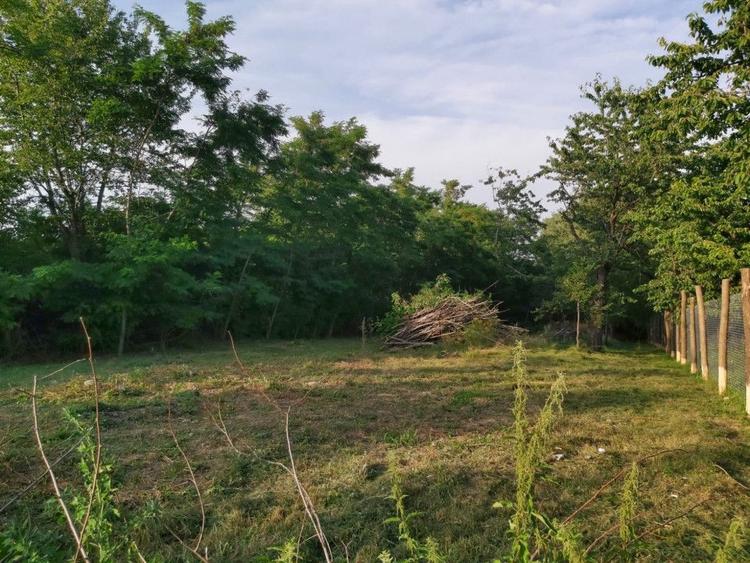 Teren Construcții intravilan de 3180 mp, în Turcinești