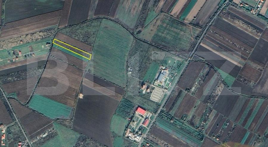 Teren agricol extravilan de 5939 mp, în Nord