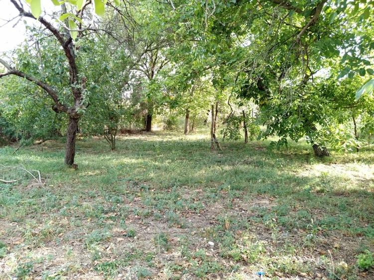 Casă cu Teren 1151 Mp în Ciuchici