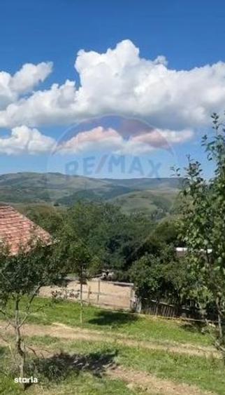 Teren intravilan +casa de vacanta zona turistica Transapuseana - 7