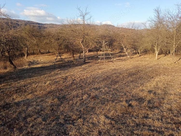 Teren de 4700 mp, în Vâlsănești