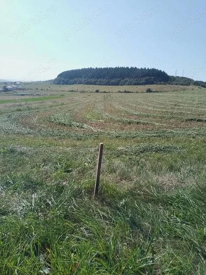 Chinteni 40 euro mp - 8