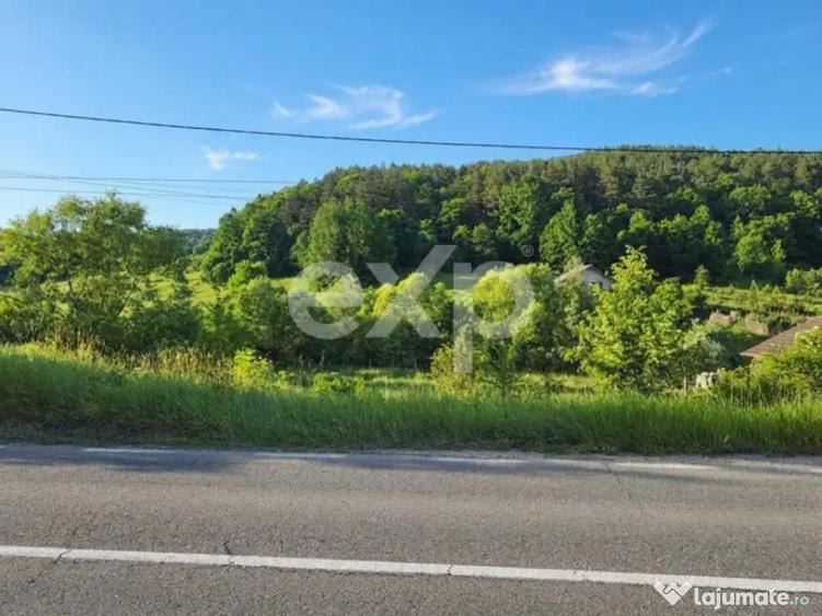 Teren 7,797mp Podis / Calea Moinesti - 3