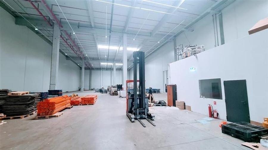 Hala industriala 2400 mp, Calea Lugojului - 6