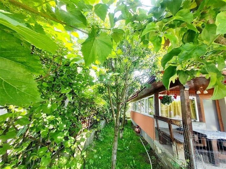 Casa mobilata, accesorizata, luminoasa, vedere munte, zona verde