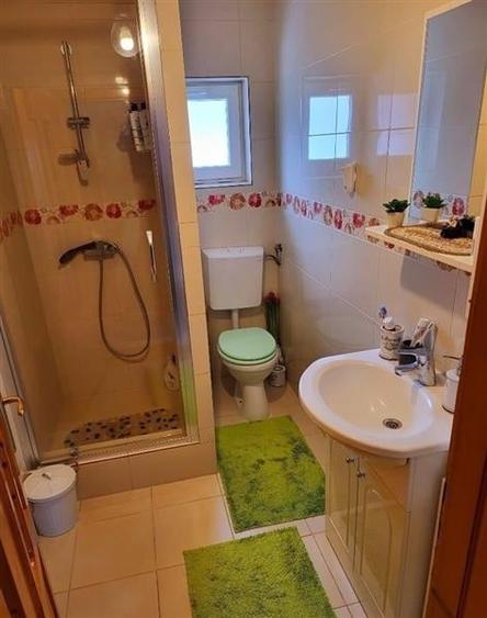 Vila Cristian, mobilata si utilata, gradina, pomi fructiferi, spatii recreere - 13