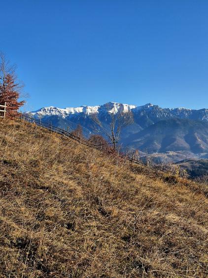 Teren de vânzare în sat Măgura/ Brasov– loc pentru familie, liniște și suflet - 1