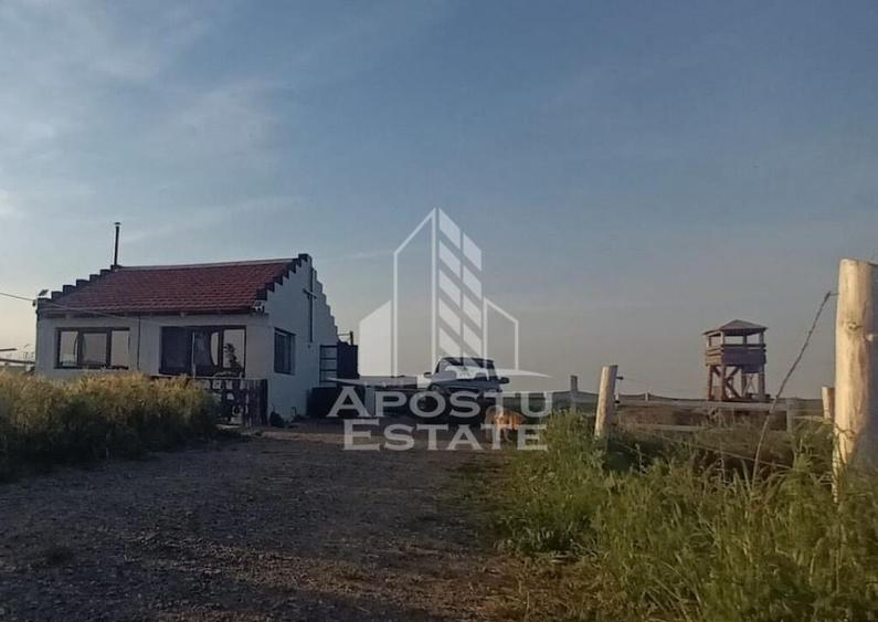 Farmhouse la 14km de Timisoara, teren agricol 1ha - 5