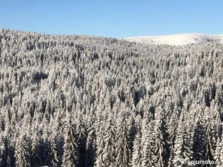 Afacere la cheie pensiune complet utilata ?i mobilata,energ - 2