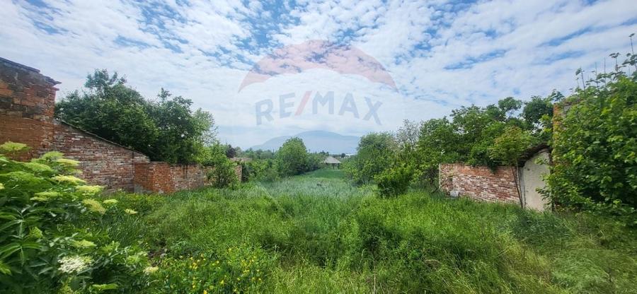 Teren Aradul Nou-2.311mp cu livada si utilitati, ideal pentru locuinte - 2