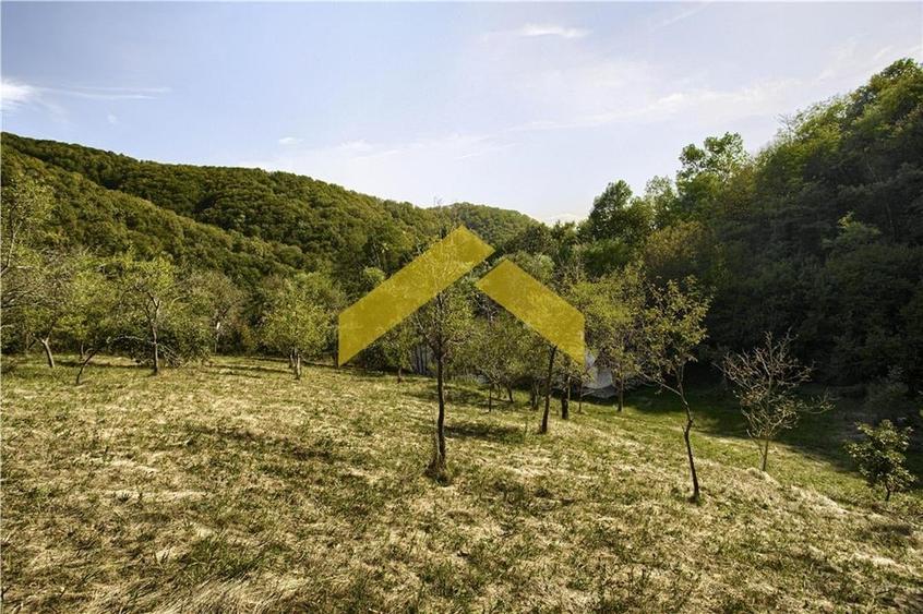 Casa cu padure de vanzare in Savarsini - 16